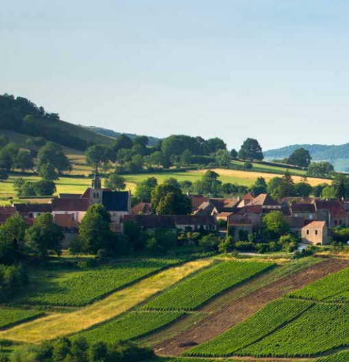 Appellation Contrôlée Bourgogne