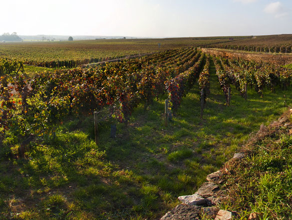 Appelation Charmes-Chambertin